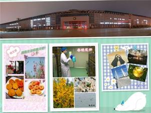 C:\Program Files (x86)\美图秀秀\XiuXiu\Temp\copy.jpg